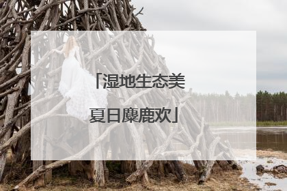 湿地生态美 夏日麋鹿欢