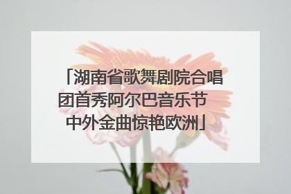 湖南省歌舞剧院合唱团首秀阿尔巴音乐节 中外金曲惊艳欧洲