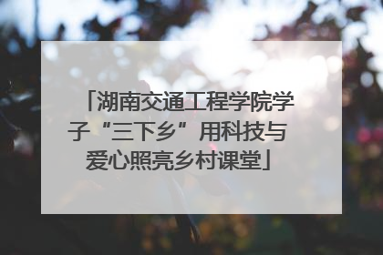 湖南交通工程学院学子“三下乡”用科技与爱心照亮乡村课堂