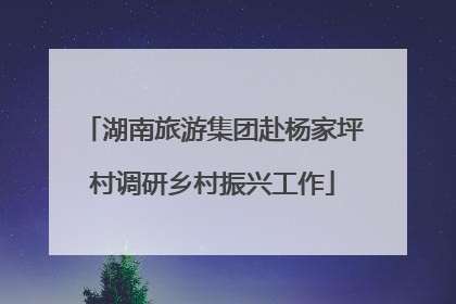湖南旅游集团赴杨家坪村调研乡村振兴工作