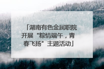 湖南有色金属职院开展“粽情端午，青春飞扬”主题活动