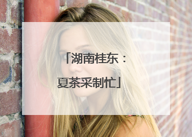湖南桂东：夏茶采制忙