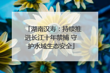 湖南汉寿：持续推进长江十年禁捕 守护水域生态安全