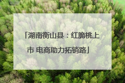 湖南衡山县：红脆桃上市 电商助力拓销路
