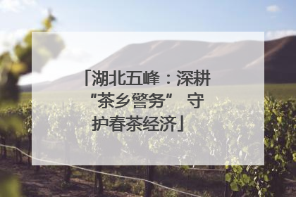 湖北五峰：深耕“茶乡警务” 守护春茶经济