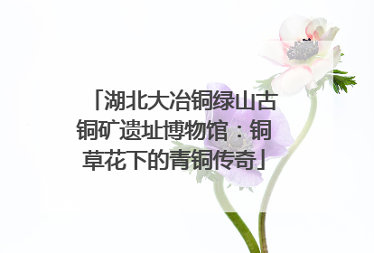 湖北大冶铜绿山古铜矿遗址博物馆：铜草花下的青铜传奇