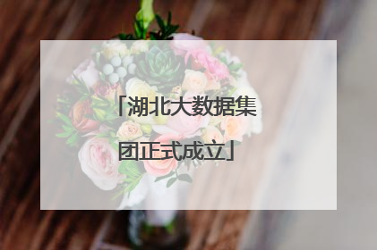 湖北大数据集团正式成立