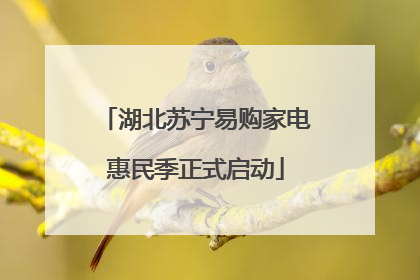 湖北苏宁易购家电惠民季正式启动