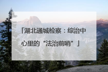 湖北通城检察：综治中心里的“法治前哨”