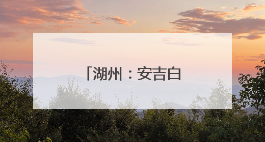 湖州：安吉白茶绽芬芳 南茶北进开新篇