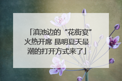 滇池边的“花街宴”火热开席 昆明夏天最潮的打开方式来了