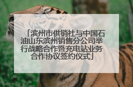 滨州市供销社与中国石油山东滨州销售分公司举行战略合作暨充电站业务合作协议签约仪式