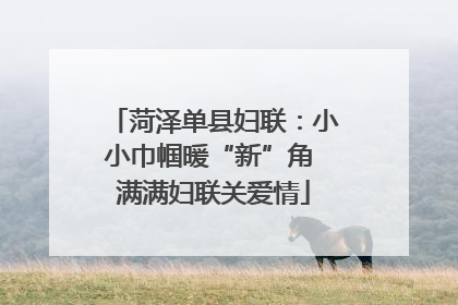 菏泽单县妇联：小小巾帼暖“新”角 满满妇联关爱情