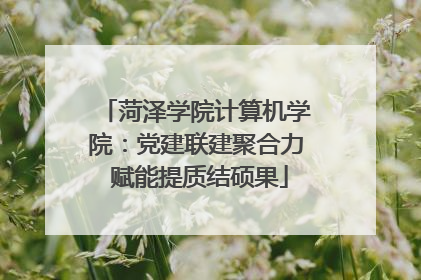 菏泽学院计算机学院：党建联建聚合力 赋能提质结硕果