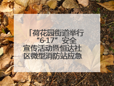 荷花园街道举行“6·17”安全宣传活动暨恒达社区微型消防站应急小分队启动式