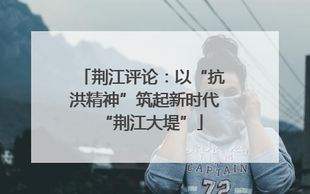 荆江评论：以“抗洪精神”筑起新时代“荆江大堤”