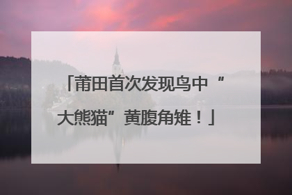 莆田首次发现鸟中“大熊猫”黄腹角雉！