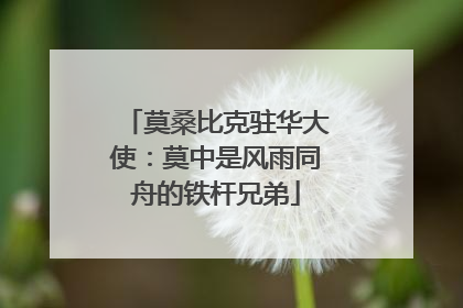 莫桑比克驻华大使：莫中是风雨同舟的铁杆兄弟