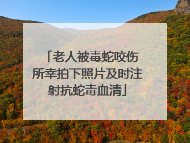老人被毒蛇咬伤 所幸拍下照片及时注射抗蛇毒血清