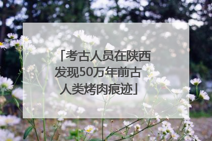 考古人员在陕西发现50万年前古人类烤肉痕迹