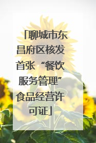 聊城市东昌府区核发首张“餐饮服务管理”食品经营许可证