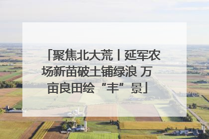 聚焦北大荒丨延军农场新苗破土铺绿浪 万亩良田绘“丰”景