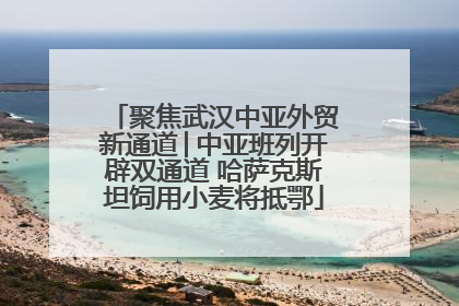 聚焦武汉中亚外贸新通道│中亚班列开辟双通道 哈萨克斯坦饲用小麦将抵鄂