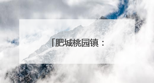 肥城桃园镇：筑牢防汛屏障，守护群众安全