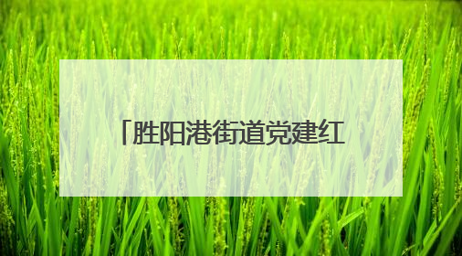 胜阳港街道党建红纽带，串起商居共治 “烟火圈”