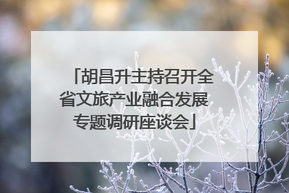 胡昌升主持召开全省文旅产业融合发展专题调研座谈会