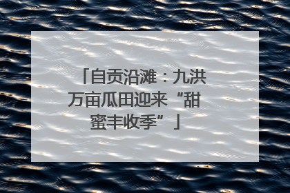 自贡沿滩：九洪万亩瓜田迎来“甜蜜丰收季”