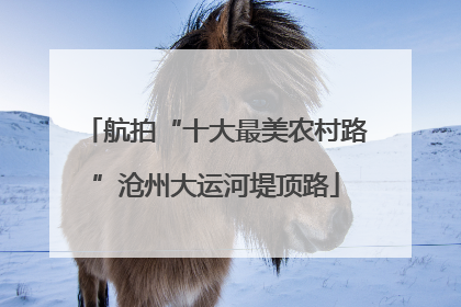 航拍“十大最美农村路”沧州大运河堤顶路