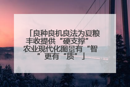 良种良机良法为夏粮丰收提供“硬支撑” 农业现代化图景有“智”更有“质”