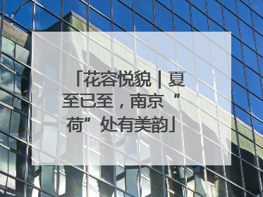 花容悦貌｜夏至已至，南京“荷”处有美韵
