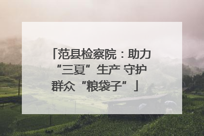 范县检察院：助力“三夏”生产 守护群众“粮袋子”