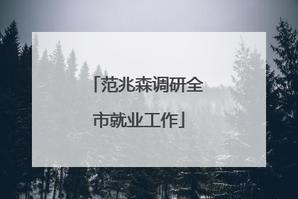 范兆森调研全市就业工作
