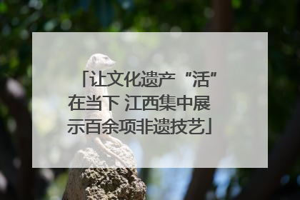让文化遗产“活”在当下 江西集中展示百余项非遗技艺