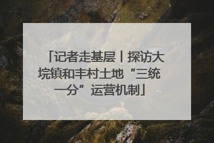记者走基层丨探访大垸镇和丰村土地“三统一分”运营机制