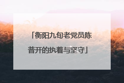 衡阳九旬老党员陈普开的执着与坚守