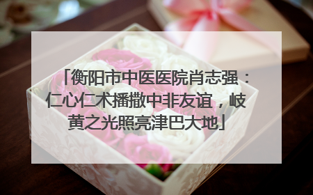 衡阳市中医医院肖志强：仁心仁术播撒中非友谊，岐黄之光照亮津巴大地