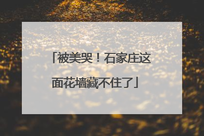 被美哭！石家庄这面花墙藏不住了
