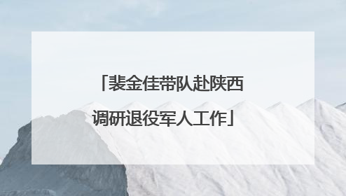 裴金佳带队赴陕西调研退役军人工作