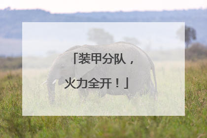 装甲分队，火力全开！