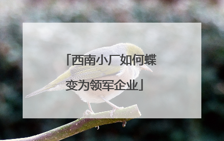 西南小厂如何蝶变为领军企业