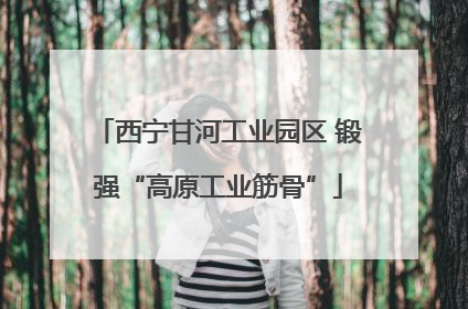西宁甘河工业园区 锻强“高原工业筋骨”