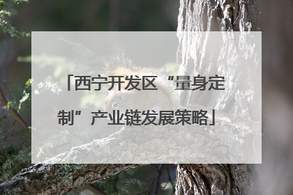 西宁开发区“量身定制”产业链发展策略