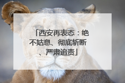 西安再表态：绝不姑息、彻底斩断、严肃追责