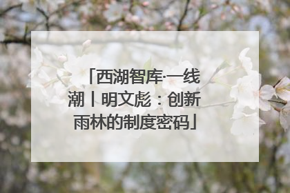西湖智库·一线潮丨明文彪：创新雨林的制度密码