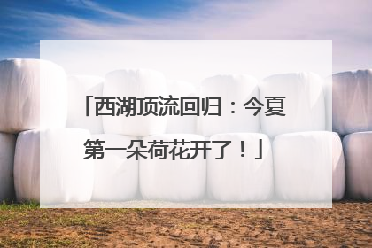 西湖顶流回归：今夏第一朵荷花开了！