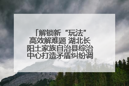 解锁新“玩法” 高效解难题 湖北长阳土家族自治县综治中心打造矛盾纠纷调处“终点站”
